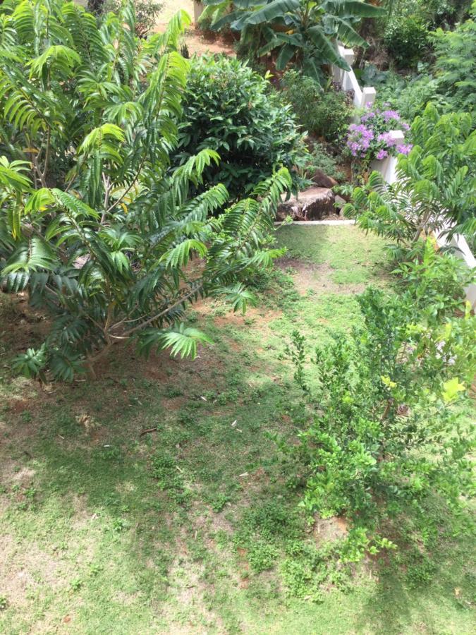 Bougainvillas Seychelles Анс-Руаяль Экстерьер фото