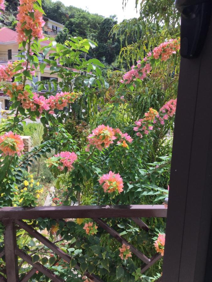 Bougainvillas Seychelles Анс-Руаяль Экстерьер фото