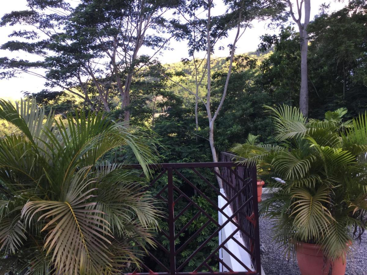 Bougainvillas Seychelles Анс-Руаяль Экстерьер фото