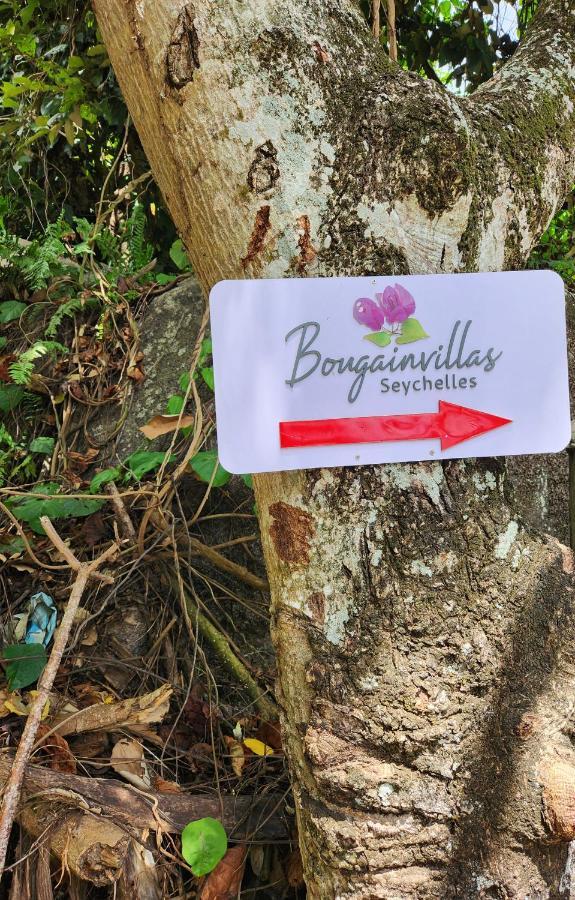 Bougainvillas Seychelles Анс-Руаяль Экстерьер фото